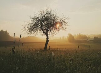 Co zrobić z rana żeby nie było blizny?