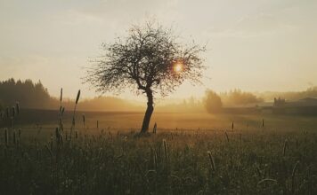 Jak dbać o ranę po zdjęciu szwów?